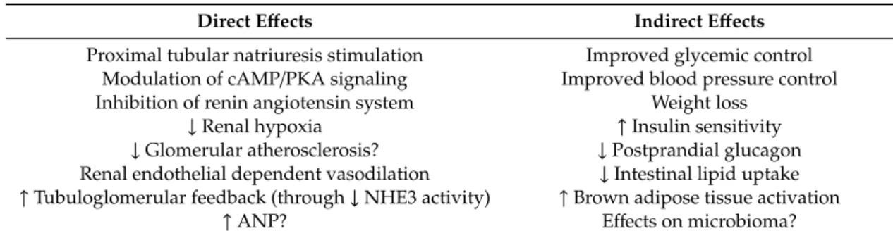 Table 1. Putative renoprotective actions and effects of GLP-1R agonists on kidneys.