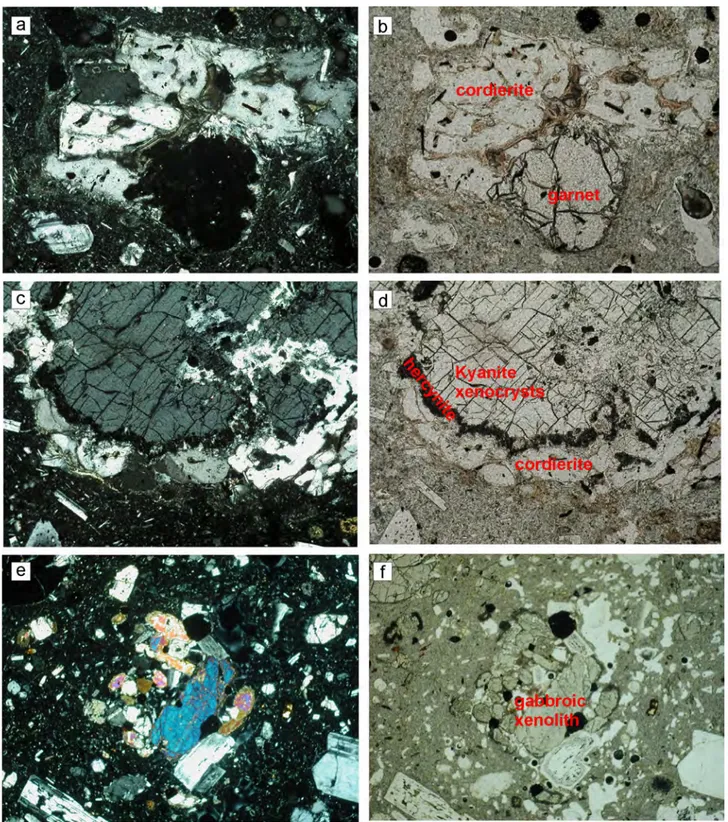 Figure 3. Photomicrographs (crossed and parallel nicols) showing representative petrographic features on thin sections of all the studied  samples