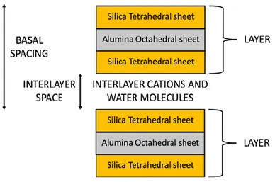 Figure 1. Schematic structure of montmorillonite with a 2: 1 ratio, in which each layer  consists by two silica tetrahedral sheets with an interposed alumina octahedral sheet