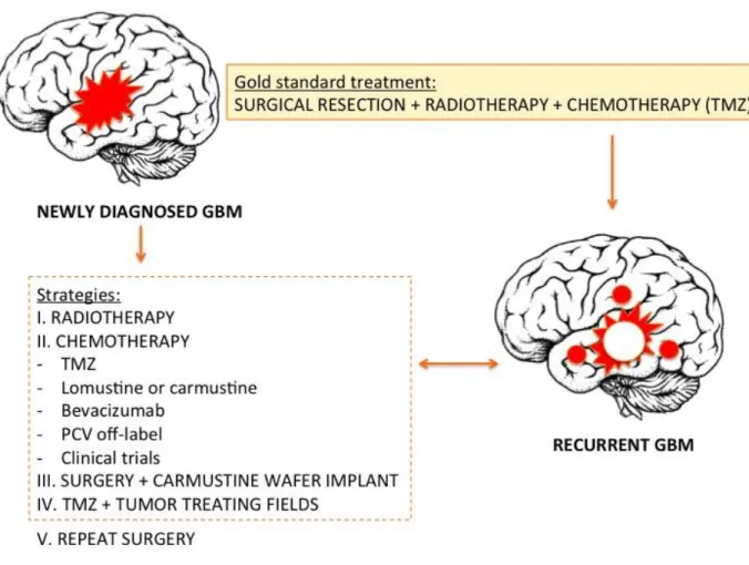 Figure 1. Schematic representation of GBM treatment strategies (modified from Bastiancich et al., 2016)