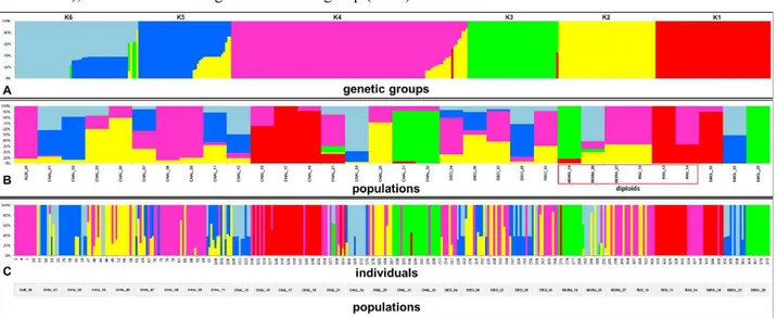 Figure 3. a) Principal Components analysis biplot showing relationships between the six genetic groups (K; numbers as  in Figure 2a) and the six Albanian taxa of Odontarrhena (dots are diploid taxa, squares are tetraploids); b) Scattergram  from  Multifact