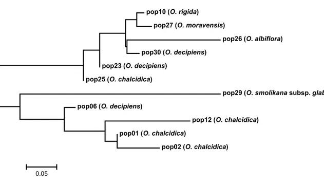 Figure  6.  Neighbor-Joining  tree  based  on  genetic  distances  between  populations  from  the  type  localities  of  the  taxa  endemic to Albania and of those described from the same country but currently included in either  O