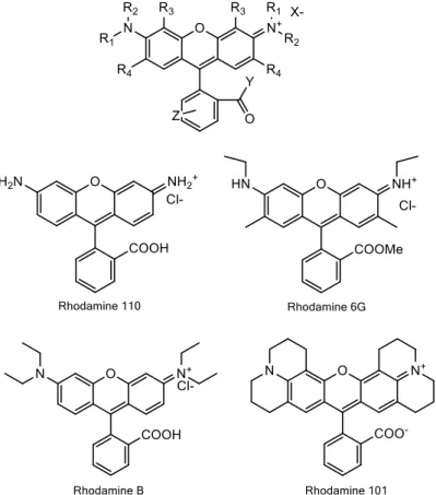 Fig. 29: Rhodamine general molecular structure and the more representative systems, employed in LSC devices