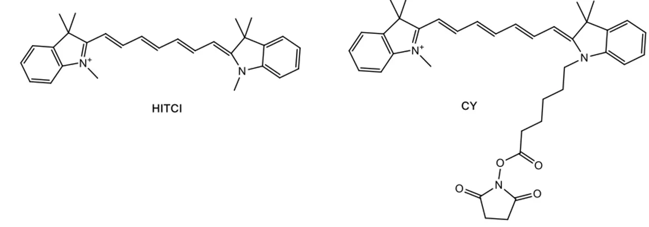 Fig. 41: Molecular structure of HITCI and CY, cyanines derivatives for TLSC 160 . 