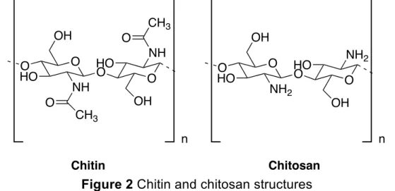 Figure 2 Chitin and chitosan structures 
