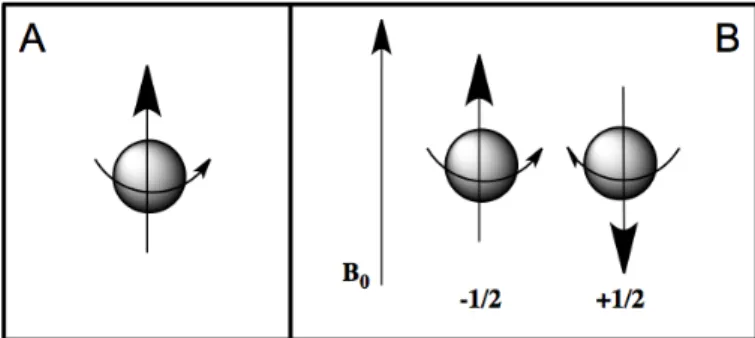 Figure  7  a)  Electron  spin  and  magnetic  moment  of  unpaired  electron;  b) 