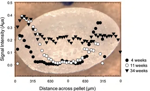 Figure 4. Phenanthrene concentration measured along the diameter of a sliced POM pellet with exposure time (original data presented in Ahn et al., 2005).