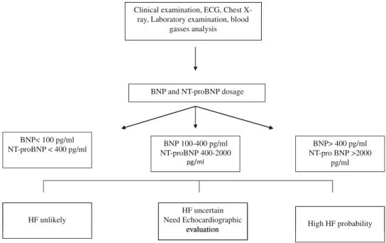 Fig. 1 BNP algorithm for diagnosis of acute heart failure (modified by ESC guidelines 2008)