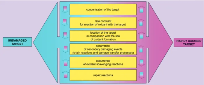 Fig. 2 Major factors determining the extent of oxidative damage to specific cellular targets