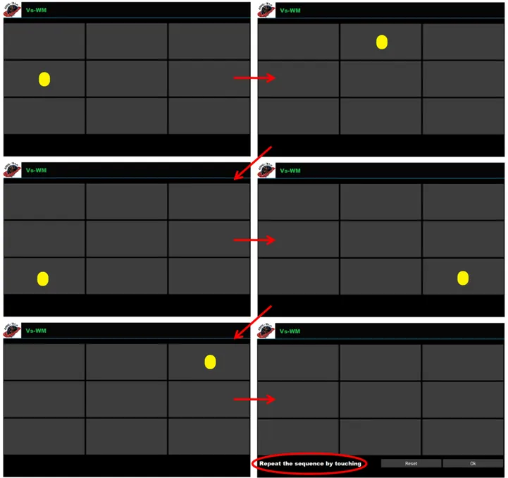 Figure 1.  An example of visuospatial working memory (Vs-WM) exercises in which patients have to remember a random sequence of 5 circles consecutively presented (the temporal order is defined following the direction of the arrows)