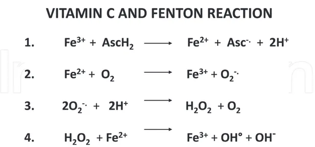 Figure 4.  Fenton reaction mediated by vitamin C. (1) Vitamin C (ascorbic acid, AscH2) reduces ferric ions (Fe3+) to 