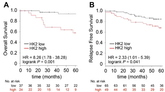 Figure  8.  High  expression  levels  of  HK2  identify  a  subset  of  patients  with  poor  prognosis