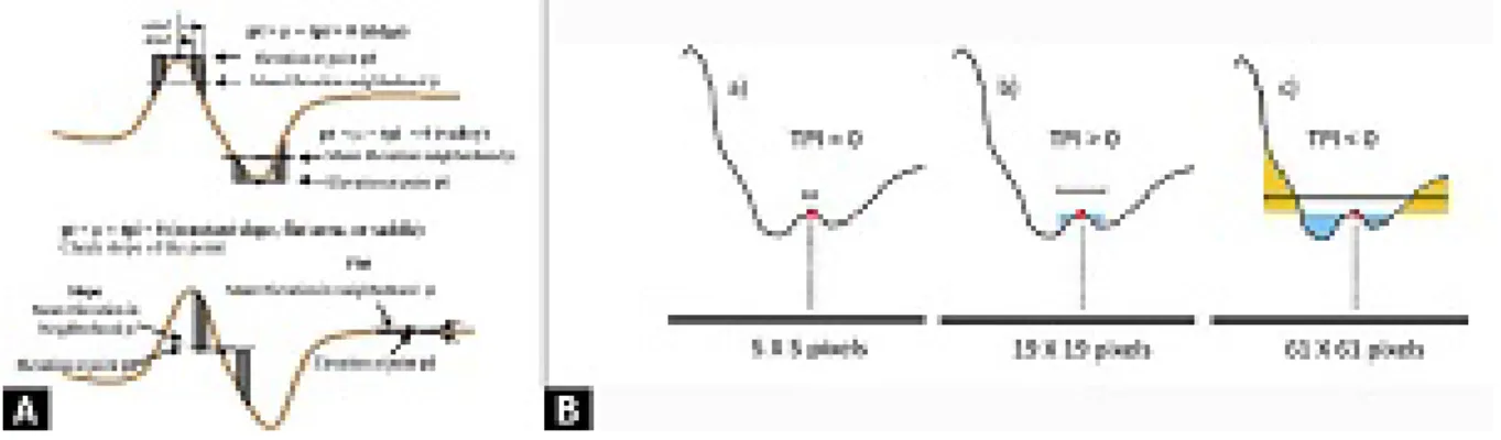 Fig. 14 - A) Il calcolo del valore TPI (fonte: Weiss 2001); B) La selezione del valore di intorno entro  la quale calcolare l'indice TPI incide sulla capacità di classificare features del territorio a scala  diversa 