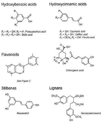 Figure 1. Chemical structure of polyphenols. Source: © 2004 American Society for Clinical Nutrition 