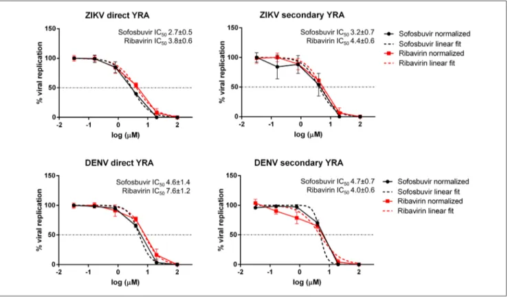 Figure 3.  Activity of sofosbuvir and ribavirin against ZIKV and DENV in the direct and secondary YRA.