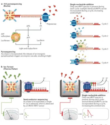 Figure 4: SBS methods: SNA approaches. Summary of the SNA approaches by Roche (a) and Thermo Fisher Scientific (b)