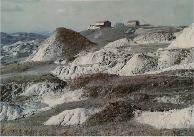 Fig. 16 - Foto scattata nel 1972 primAa degli interventi di sbancamento nella zona del podere Capanne