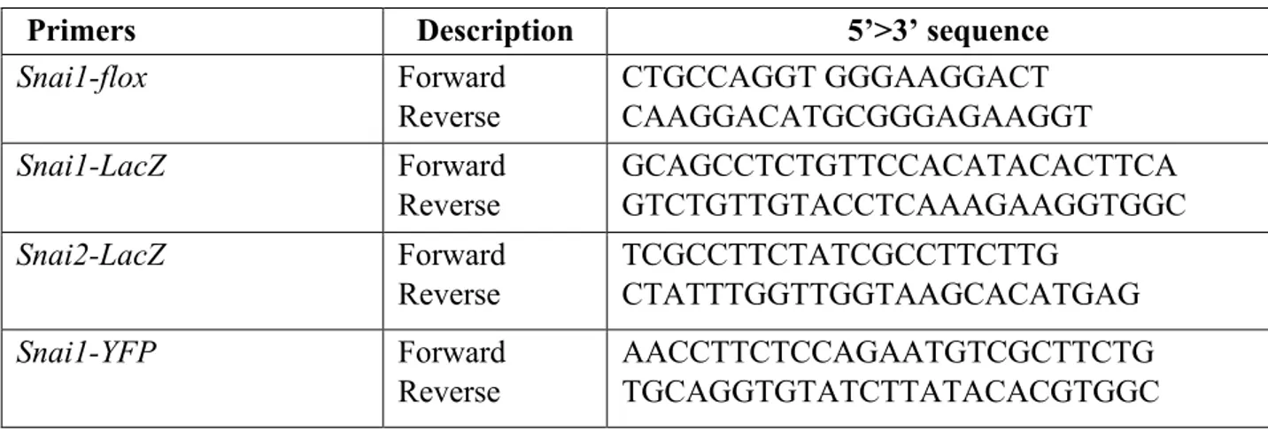 Table 1. List of oligonucleotides used for the genotyping.  