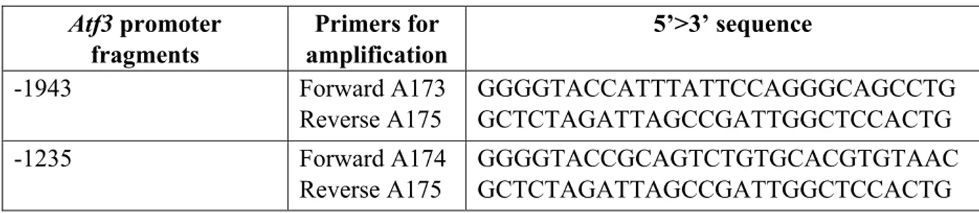 Table 4. List of oligonucleotides used for the amplification of the Atf3 promoter region