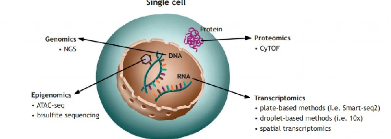 Fig. 1. Schematic representation of single-cell omic technologies. Combined information about 