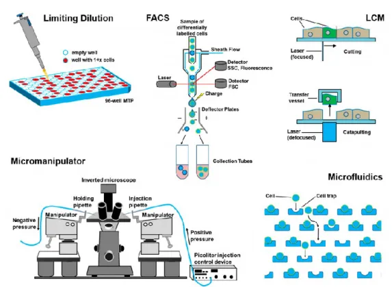 Fig. 2 Schematic overview of single-cell separation technologies; 