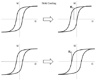 Figure  2.6  Schematic  representation  of  the  two  main  effects  induced  by  the 