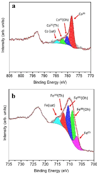 Figure  3.3  XPS  spectra  of  NHS-1  in  the  region  of  cobalt  (a)  and  iron  (b)