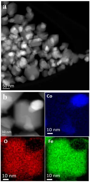 Figure 3.4 a) STEM image of NPs; b) EELS mapping of NHS-1 and distributions 