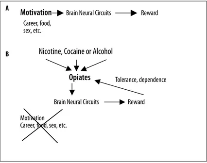 Figure 1.  Individuals have conventional motivation  items that depend on brain neural  circuits as described in the text (A)