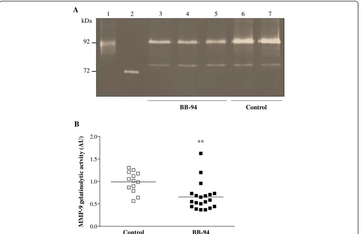 Figure 2 Zymography on cerebella of control and BB-94-treated mice infected with meningococci