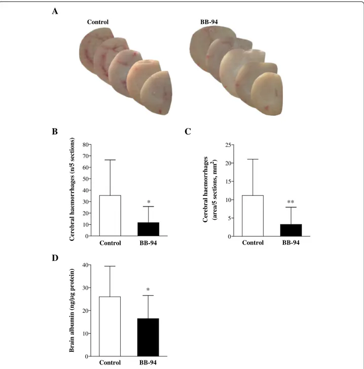 Figure 3 Brain damage in control and BB-94-treated mice after meningococcal challenge