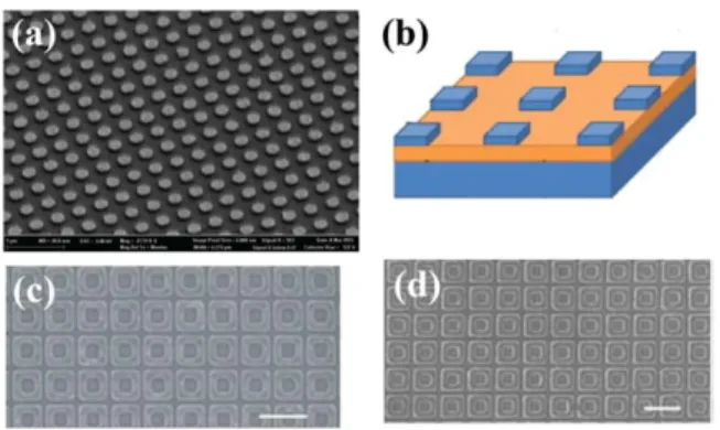 Figure 8 (c) shows the TiN MS after annealing at 800 °C, and