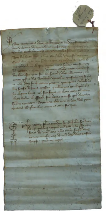 Figura 1 . Archivio di Stato di Siena, Diplomatico, Archivio generale, 14 maggio 1343, recto  (Su concessione del Ministero per i Beni e le Attività Culturali)