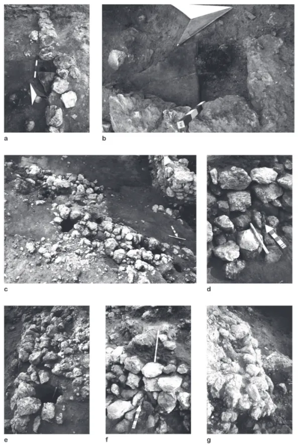 Figure  22.8.  Miranduolo  (Chiusdino  –  prov.  Siena),  southern  side  of  the  hilltop.  Masonry  bases  belonging  to  the  ‘mixed  materials’  fortification (late 10th–early 11th century): a) general view of the eastern portion; b) detail of a postho