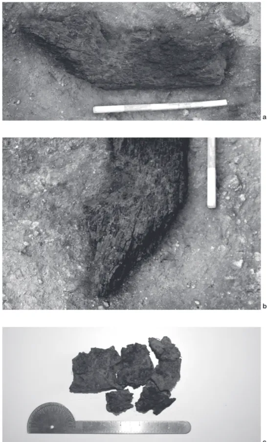 Figure 22.10. Miranduolo (Chiusdino – prov. Siena), southern side of the hilltop. Well-preserved pointed end of an oak-wood post belonging  to the ‘mixed materials’ defences (late 10th–early 11th century): a, b) general and detailed view of the context; c)
