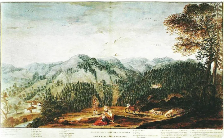 Figura 1. L’aspetto della montagna camaldolese alla fine del Settecento in una veduta di Antonio Fedi e France- France-sco Mazzuoli (Veduta delle Alpi di Camaldoli dalla parte del Casentino, 1788-1789)