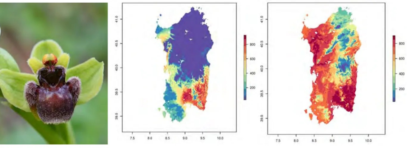 Fig. 1     Fig. 2-3  