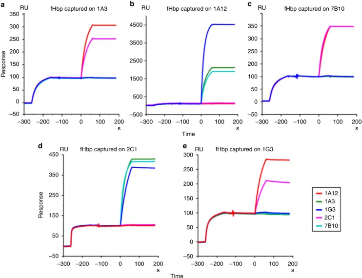 Fig. 1 SPR binding competition analysis of cooperative and noncooperative fHbp –mAb complexes