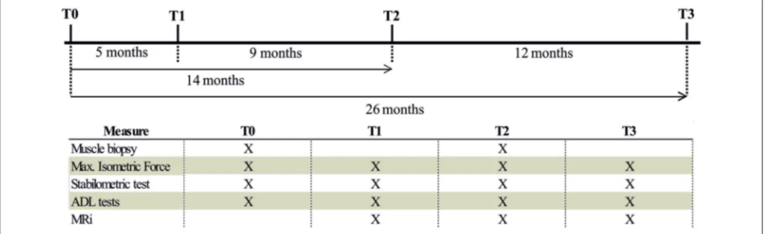 FIGURE 2 | Flowchart of measurement procedure. Flowchart of the measurements performed in each period of the study (T0, T1, T2, and T3).