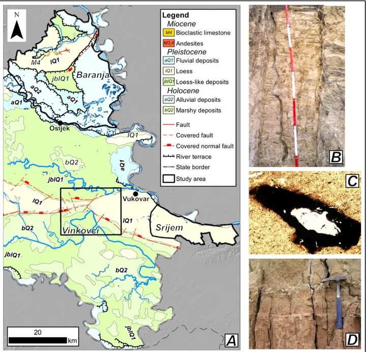 Fig. 1 - (A) Geological map of eastern Croatia. (B) Root channel in loess-paleosol sequence