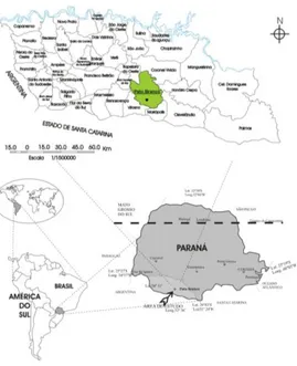 Figura 1. Localização do município de Pato Branco no Estado do Paraná e na região Sudoeste
