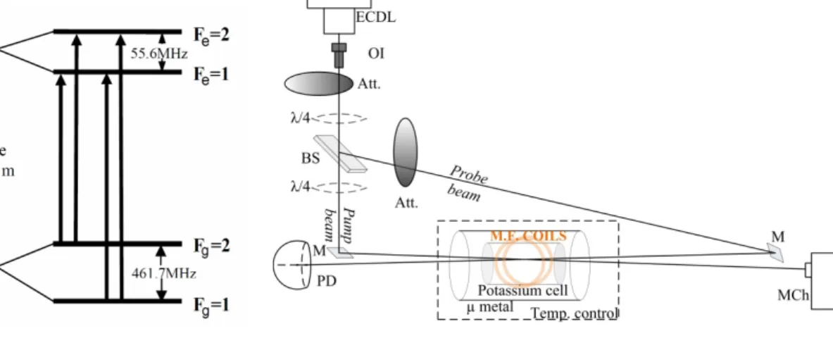 Figure 1.  Energy level  diagram and hyperfine  transitions of  the D 1   line of 