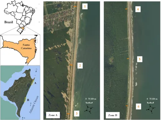 Figure 1. Geographical localization of São Francisco do Sul Island. Middle and right maps represent 