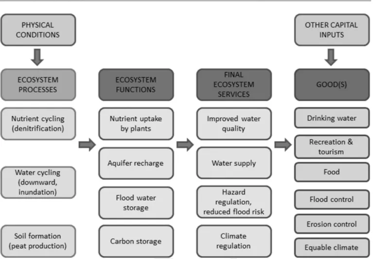 Figure 9.1 Schematic diagram of ecosystem assessment, linking processes to final goods