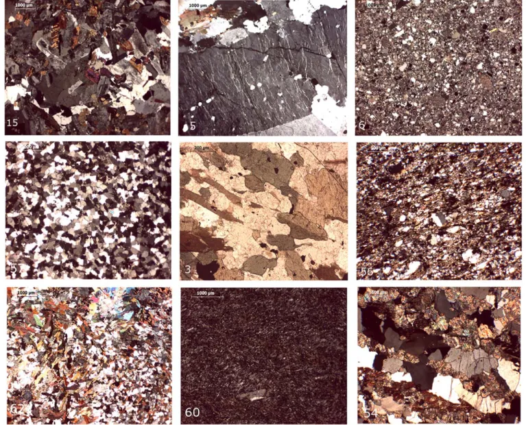 Figure 3. Photomicrographs of representative clasts recovered in Eastern Ross Sea cores: Thin section 15 (core 83–14, crossed polarizers): bt-hbl tonalite showing medium grained hypi- hypi-diomorphic texture (type A granitoid); Thin section 5 (core 96–14, 