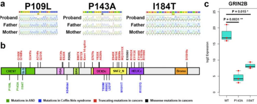 Figure 4. Recurrent non-synonymous post-zygotic mosaic mutations implicate novel genes with  more mutations than expected false calls