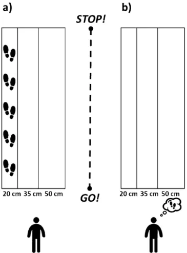 Figure 1.  Experimental setup. Both groups of participants were asked to actually (a) or mentally (b) walk 