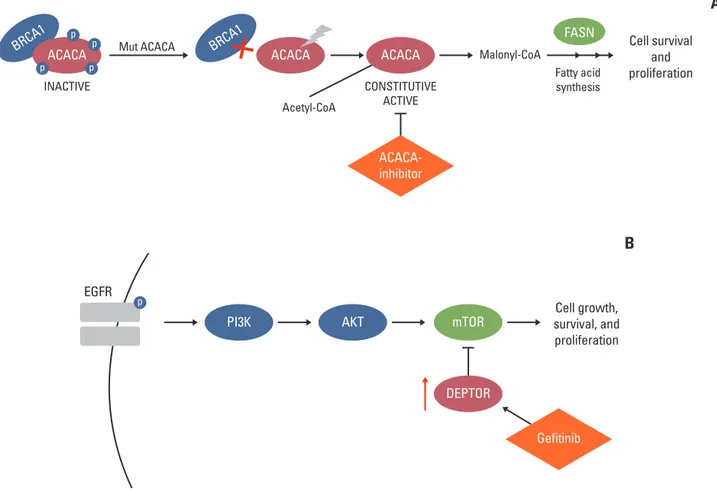 Fig. 3.  Likely personal germline driver genes in present case and possible therapeutic options