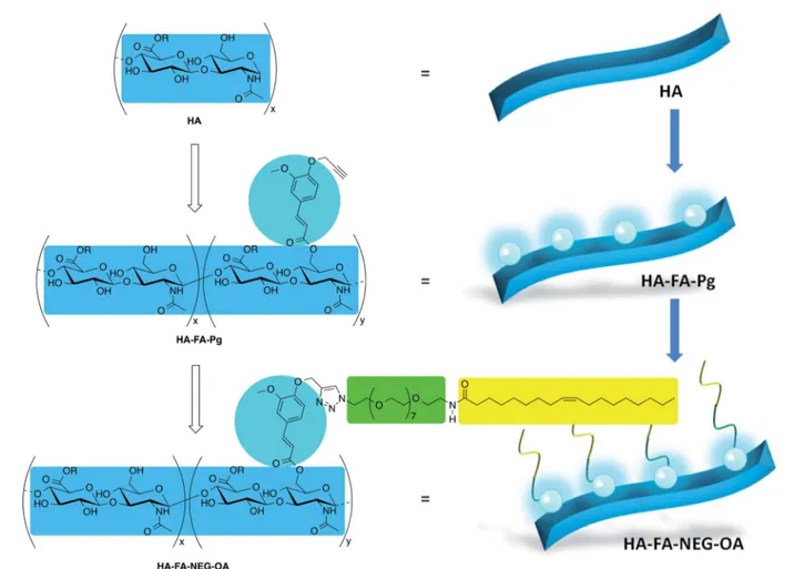 Fig. 1 Design of multi-component material HA –FA–NEG–OA based on hyaluronic acid (HA, light blue), ferulic acid (FA, cyan), nona(ethylene glycol) (NEG, green), and oleic acid (OA, yellow)