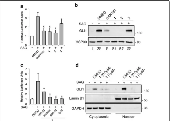 Fig. 1 Effect of compounds 1, 2, and 3 on the endogenous HH pathway. (a) Quanti ﬁcation of GLI-dependent luciferase reporter assay in HH- HH-responsive NIH3T3 cells treated with 100 nM SAG and GANT61 (5 μM), 1, 2, or 3 (1 μM)